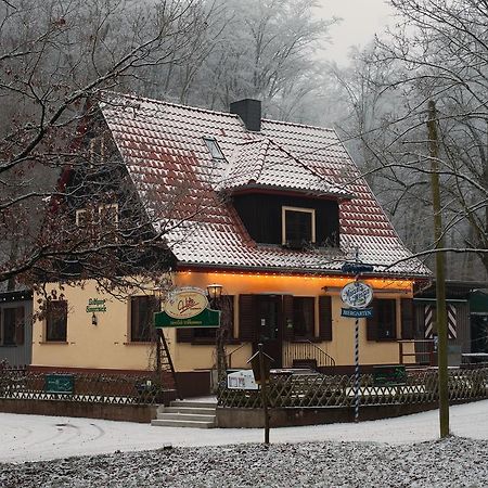 Saengerwiese Eisenach Camera foto
