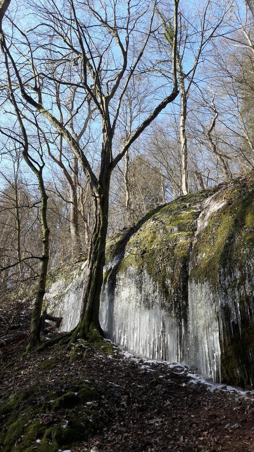 Saengerwiese Eisenach Esterno foto
